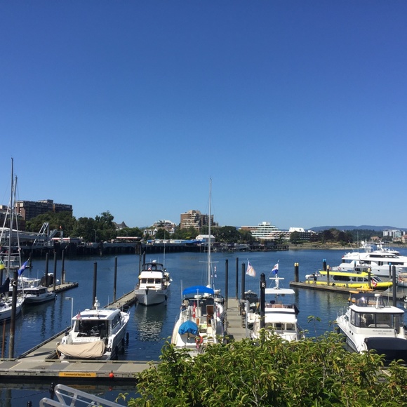 Meet your Posher, Jessie - Picture 2 of 4